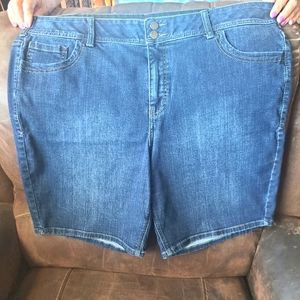 Lane bryant bermuda shorts